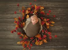 a newborn baby wrapped in a brown wrap surrounded by red and yellow leaves on a wooden floor