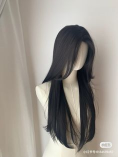 Korean Long Hair Ponytail, Black Hair Claim, Wenlcv Hair, Hair Claims For Dr, Hair Claims, Curtain Haircut, Black Hair Wig, Black Straight Hair