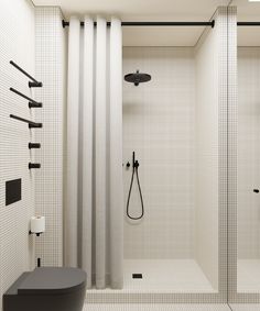 a bathroom with a shower, toilet and stand up shower