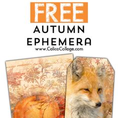 an image of a fox and pumpkins with the text free autumn ephemera