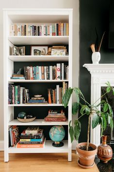 a bookshelf filled with lots of books next to a potted plant on top of a hard wood floor