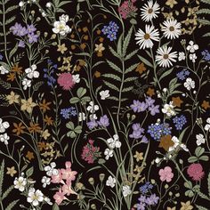 a black background with flowers and leaves on the bottom right corner is an illustration of wildflowers