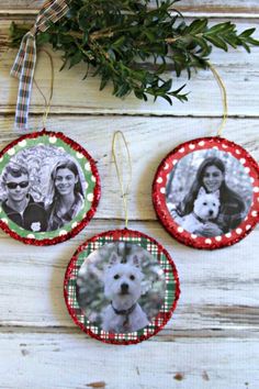 three christmas ornaments hanging on a wooden table with greenery and two photos in the shape of dogs