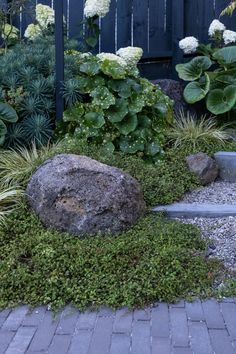 a garden with rocks and plants in it