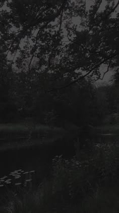 a black and white photo of a pond with trees in the background at night time