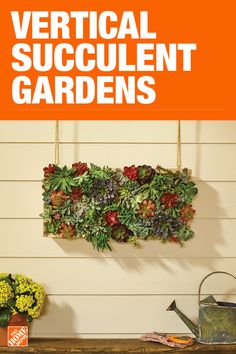 an orange sign that says diy hanging succulents