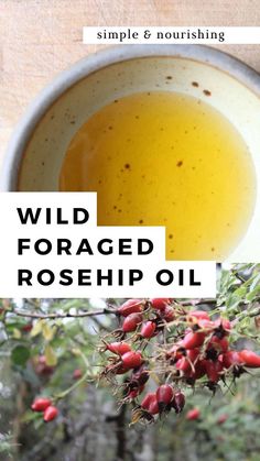 A close up shot of diy rosehip oil in a small bowl on a light countertop. A shot of wild red rosehips growing. Rosehip Crafts, Diy Rosehip Oil Recipe, How To Make Rose Hip Oil, How To Make Rosehip Oil At Home, How To Make Rosehip Oil, Diy Rosehip Oil, Rosehip Oil Recipes, Apothecary Room, Rosehip Recipes