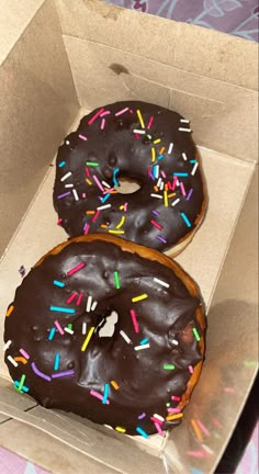 two donuts with chocolate frosting and sprinkles are in a box