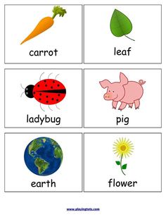 four different pictures with words that describe the animals and plants in their environment, including carrots, leaf, ladybug, flower