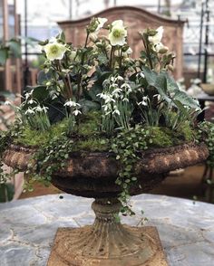 a vase filled with white flowers and greenery on top of a stone table in a greenhouse