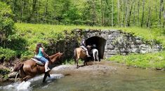 two people are riding horses through a small stream in the woods, near a stone tunnel