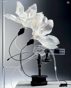 a white flower sitting on top of a table next to a black object with wires