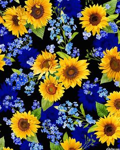 sunflowers and blue flowers on a black background