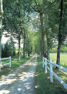 a white fenced in area next to a dirt road with trees on both sides