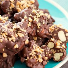 chocolate covered cookies on a blue plate with nuts in the middle and walnuts sprinkled on top