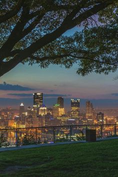 the city skyline is lit up at night as seen from an elevated park bench in front of a tree