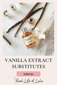 vanilla extract substitutes with the text real life of luu on it