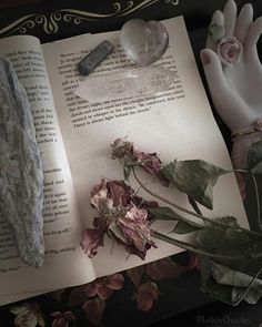 an open book sitting on top of a table next to flowers and a pair of gloves