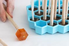 a person holding a wooden stick next to some small plastic trays filled with plants