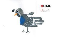 a drawing of a bird with the word quail on it