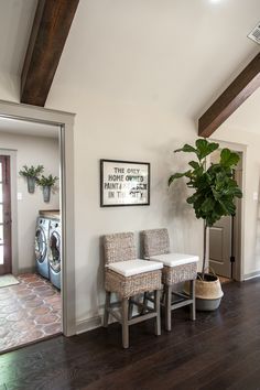 a living room filled with furniture and a potted plant on top of a hard wood floor