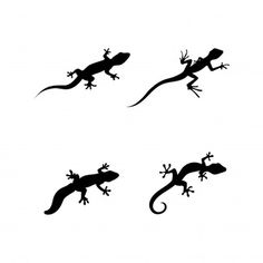 four lizards silhouettes on a white background