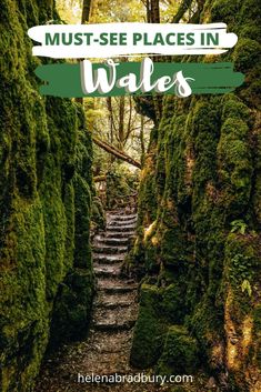 moss covered steps leading up to the top of a hill with text overlay that reads must - see places in wales