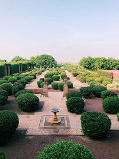 an outdoor garden with lots of green bushes and small trees in the middle of it