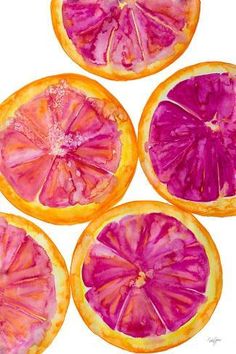 four grapefruits cut in half on a white background