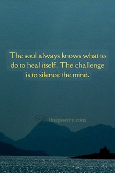 the soul always knows what to do to heal itselfthe challenge is to silence the mind