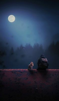 a cat sitting on top of a roof next to a backpack under a full moon