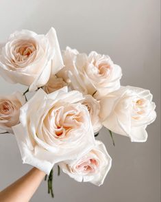 a hand holding a bouquet of white roses