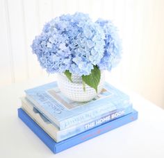 a white vase filled with blue hydrangeas on top of two paperback books next to each other