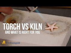 a starfish is being cleaned with a toothbrush