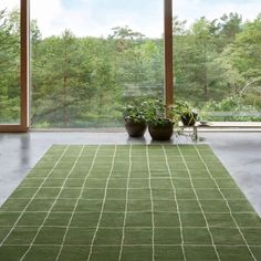 two potted plants sitting on top of a green rug in front of large windows