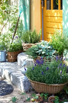 a basket filled with lots of plants next to a yellow door and some steps in front of it