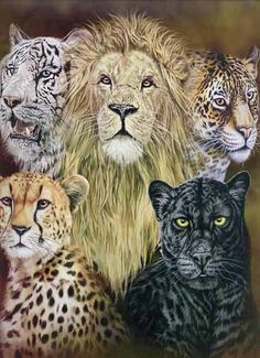 a group of different types of wild animals