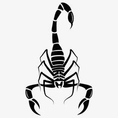 a black and white scorpion tattoo design on a white background with the word, create