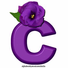 the letter c has a purple flower on it