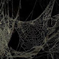 spider webs in black and white on a dark background