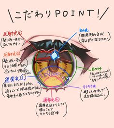 an eye with various parts labeled in english and japanese characters on the outside side of it