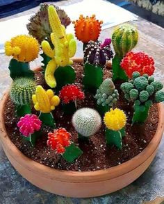 a potted plant filled with lots of different colored cacti and succulents