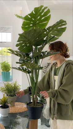 a woman standing next to a potted plant on top of a glass table