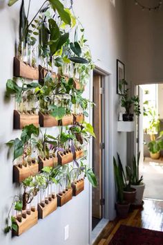 a wall hanging planter filled with lots of plants