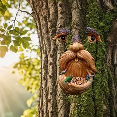 a tree with a bird feeder in the shape of a man's face