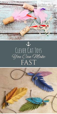 several different types of crafting items with the words clever cat toys you can make fast