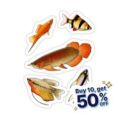 fish stickers are displayed on a white background