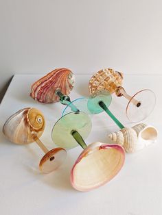 several seashells are arranged on a white surface