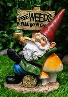 a gnome sitting on top of a mushroom with a sign that says free weeds fall your own