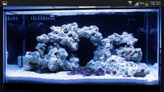 an aquarium with rocks and corals in it